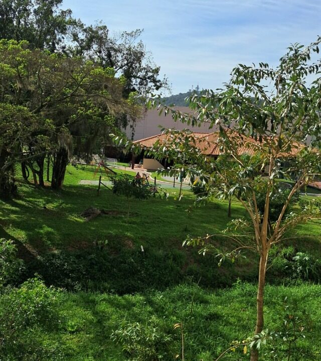 i49738_foto11