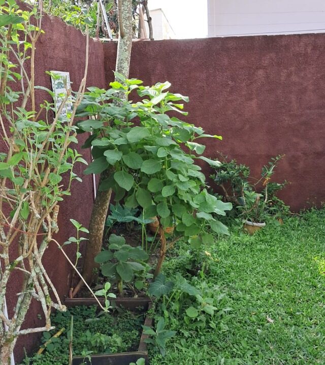 i49738_foto17