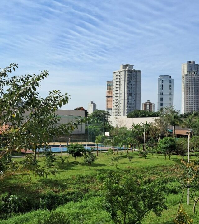 i49738_foto22