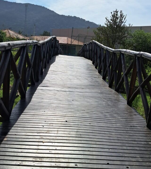 i49738_foto6